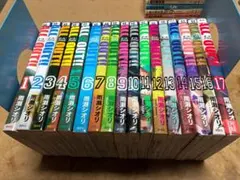 1128】野望の王国 1～28巻 全巻セット 雁屋哲 - メルカリ