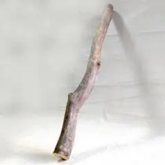 Item thumbnail for item 6d2d83bf-f7fc-4133-86bf-375afa5e9d69