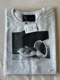 新品未開封】佐野元春 SAVE IT FOR A SUNNY DAY Tシャツ - メルカリ