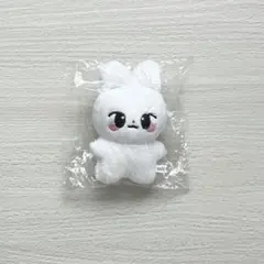 2026年最新】スキズ ぬいぐるみ マスターの人気アイテム - メルカリ