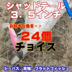 シャッドテール3.5インチ　お好きな色を24個　チョイスのサムネイル