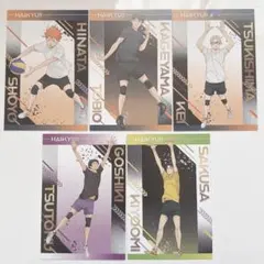 ハイキュー アニメイト特典 擬似ユース ポストカード 日向 影山 月島 佐久早