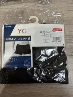 GUNZEYGボクサーブリーフLLサイズ
