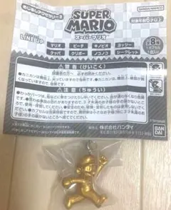 スーパーマリオ めじるしアクセサリー2 シークレット