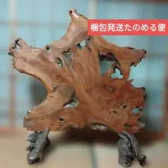盆栽花台 根卓 ユニークな木製インテリアオブジェ m-NO210高さ60センチ