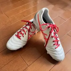 Item thumbnail for item f7c49ef8-4851-46e8-946d-fcbb6be90203