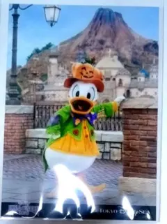 ドナルド　ハロウィン写真