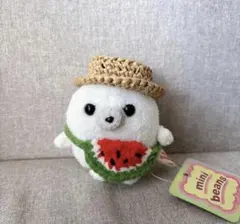 スイカ麦わら帽子　ハンドメイド　手編み ぬい活　ぬい服 着せ替え
