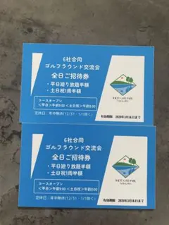 東急ゴルフパークたまがわ 半額チケット 2枚(2026年3月末日まで)