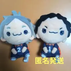 【新品未使用】ハイキュー‼︎ ジロリ ぬいぐるみ 日向翔陽 影山飛雄 ハイキュー!! 日向翔陽 影山飛雄 ぬいぐるみ ハイキュープラザ ジロリ