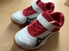 Item thumbnail for item a3273c0e-5feb-4800-84e4-4c898447274a