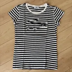 LACOSTE ストライプ Tシャツ 40のサムネイル