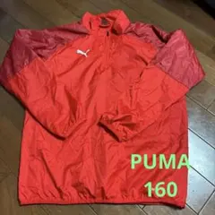 PUMAウィンドブレーカーサイズ160