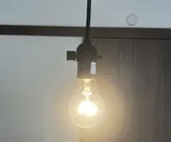 Item thumbnail for item a75366f2-c0cc-492b-8098-18396379759e