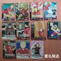 ハイキュー!!　バボカ　BREAK　ゴミ捨て場の決戦　音駒高校　R　N　13枚