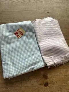 Item thumbnail for item 8fe1e6c8-2d0b-4f38-a312-a86fde11c1d8