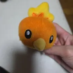 アチャモ　てにのる　ころりん　ぬいぐるみ　マスコット　ポケモン