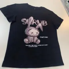 Item thumbnail for item 3ffd78dc-060d-4850-aea4-2ebda14a9244