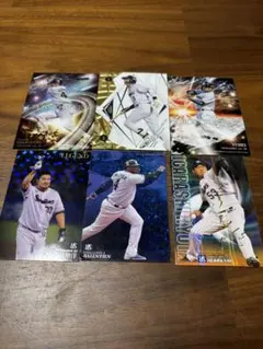 東京ヤクルトスワローズ プロ野球チップス
