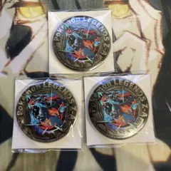 ポケモンレジェンズZA イオン 購入特典 メガリザードンX 金バッジ 缶バッジ