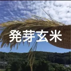 発芽玄米　3パックのサムネイル