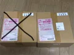 【完全未開封】メガブレイブ　ポケモンセンターセット　1BOX