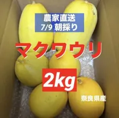 45)マクワウリ　果物　奈良県産　野菜　旬　農家直送のサムネイル