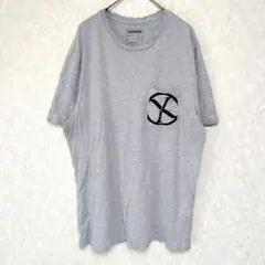 エキスプレス クルーネック Tシャツ ロゴ刺繍 L 灰色 綿混 カジュアルのサムネイル