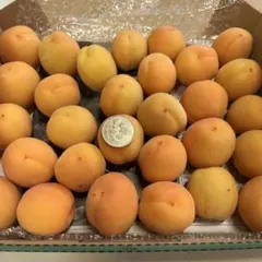 生あんず　加工用　箱込み1.1キロのサムネイル