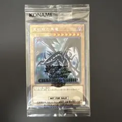 遊戯王 真紅眼の黒竜レッドアイズ WCS2019 未開封ミレニアムシークレット 遊戯王 真紅眼の黒竜レッドアイズ WCS2019 未開封ミレニアム