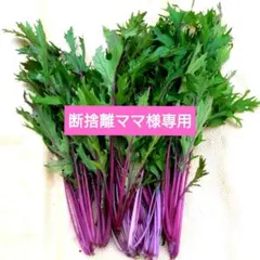 断捨離ママ様専用