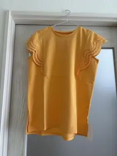 Item thumbnail for item f84230bf-b619-475d-83f5-bb9e35a41342