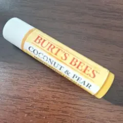 Item thumbnail for item c8e97268-a073-47bd-9afc-6b7f7e8c9425