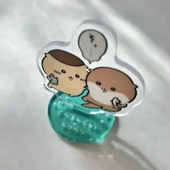 ちいかわ くりまんじゅう カワウソ 水族館