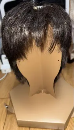 メンズ　医療用ウィッグ　スヴェンソン（グレー20%）