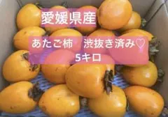 愛宕柿　渋抜き処理済み　箱込み5キロ