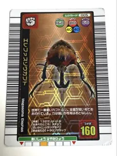 2026年最新】エレファスゾウカブトの人気アイテム - メルカリ