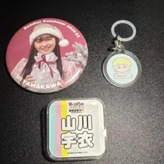 u*r様 櫻坂46 山田桃実　5thツアー　縁日　直筆サイン BIGアクリルスタ u*r様 櫻坂46 山田桃実 5thツアー 縁日 直筆サイン BIG