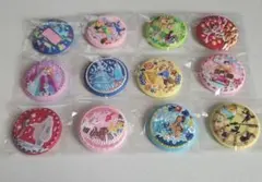 ディズニー刺繍缶バッジ2 12種 セット
