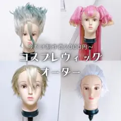 コスプレウィッグオーダー✧最短7月最終週納品◎