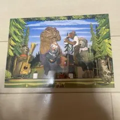 東京ディズニーランド カントリーベア ポストカード