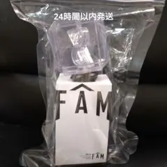 FAM ペンライト【 袋破れあり】