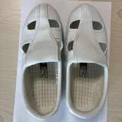 Item thumbnail for item 321807f7-a628-43e8-abb0-23b2c4bd08db