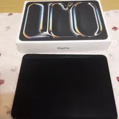 ipad　pro 11インチ　256GB