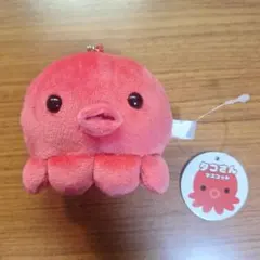 2026年最新】タコ ぬいぐるみ ピンクの人気アイテム - メルカリ
