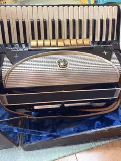 SCANDALLI ボタンアコーディオン M781/7 - メルカリ