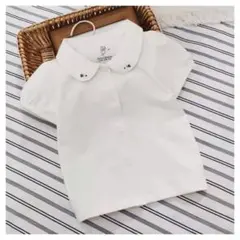 定番　半袖　襟刺繍　ホワイト　ブラウス　ファミリア好き　お教室　塾