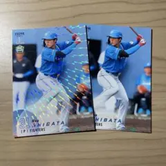 Item thumbnail for item 73cacabb-c588-4f43-8ec4-5a3eec95f85b