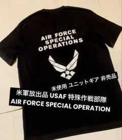 米軍放出品 実物 USAF 米空軍 特殊作戦 AFSOC Tシャツ L USA製のサムネイル
