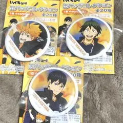 新品未使用　日向翔陽　影山飛雄 山口忠　ハイキュー 横断幕 缶バッジ　３個セット